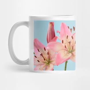 Lilium  &#39;Rosella&#39;s Dream&#39;  Asiatic lily Mug